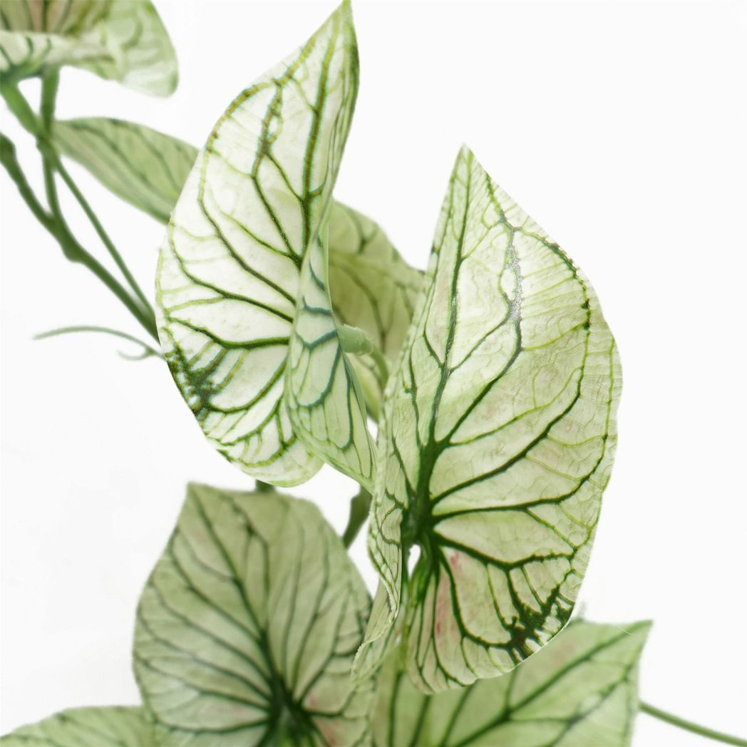 30cm Artificial Trailing Plant Realistic Variegated Potted Alocasia