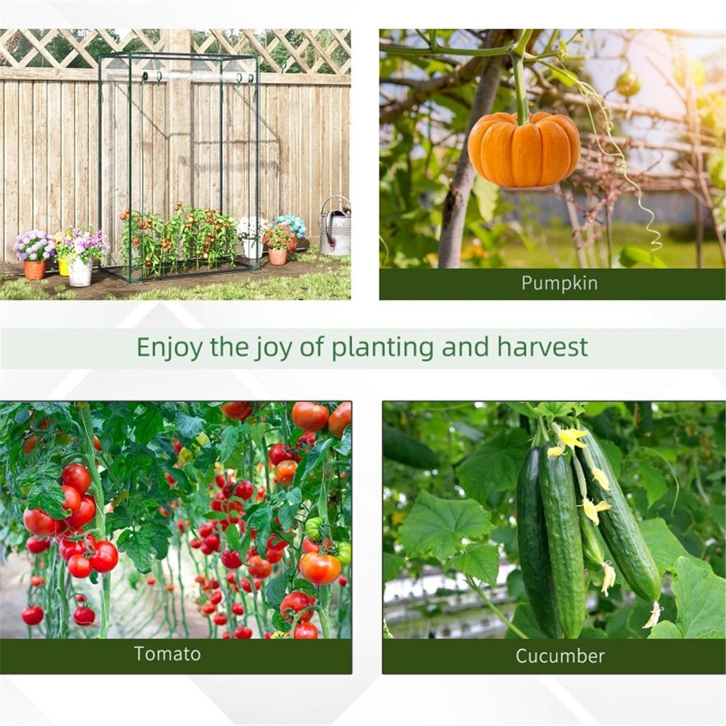 Mini Walk-in Greenhouse with Galvanised Steel Frame & Zipped Roll-up Door – Tall Narrow Plant Shelter