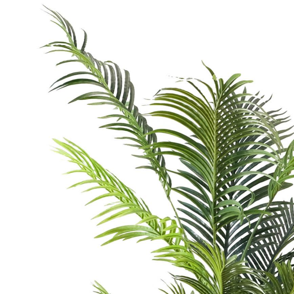 Artificial Palm Tree with 15 Leaves in White Pot, 160cm – Tall Tropical Greenery for Home & Office