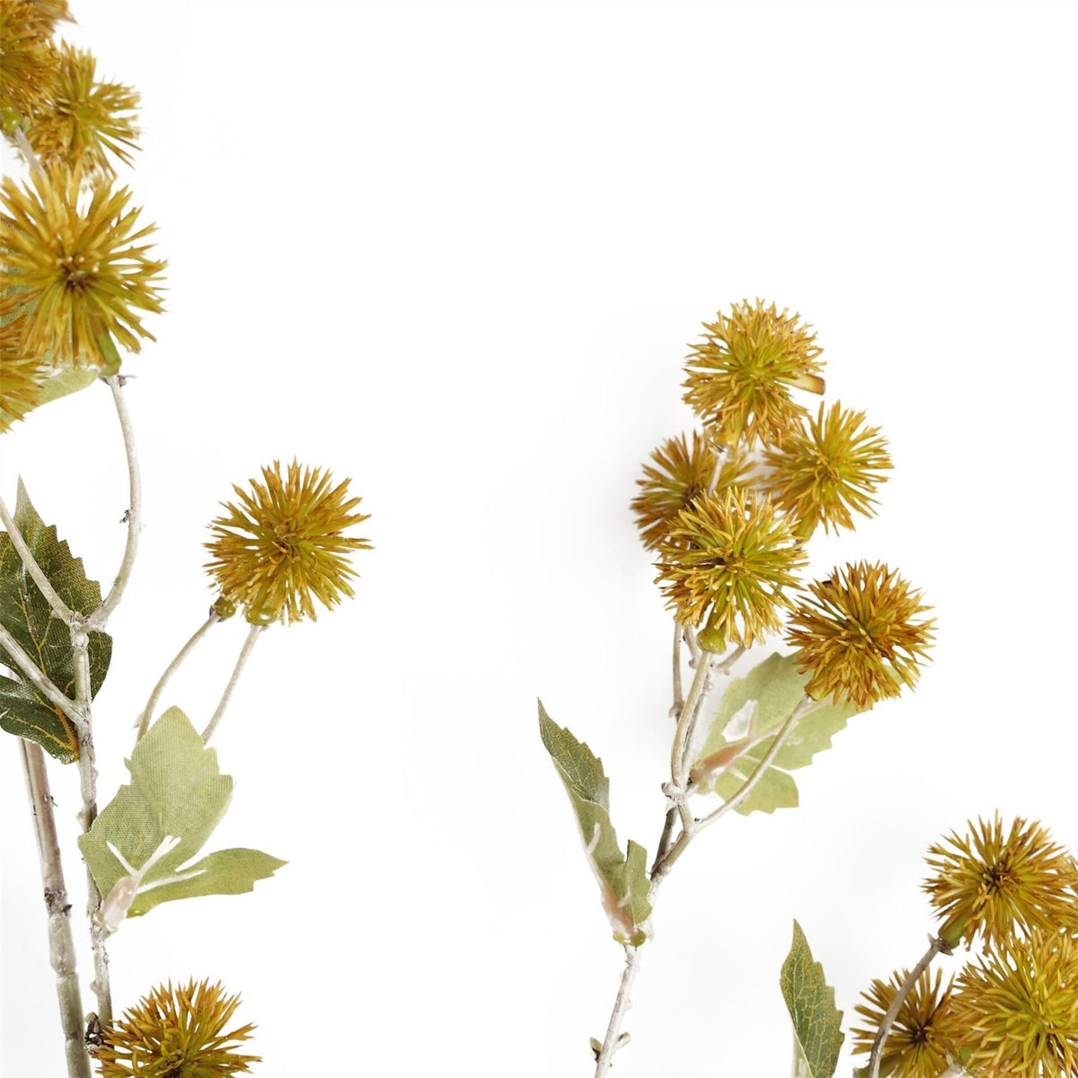 Artificial Yellow Craspedia Stems, Pack of 6 – 85cm Wired Faux Flowers for Arrangements