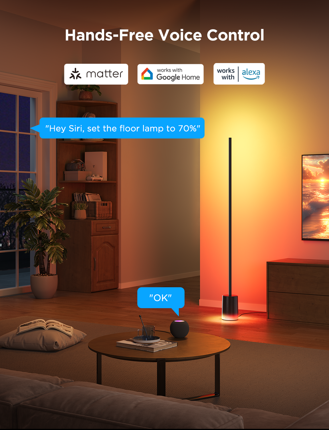 Govee Smart RGB Floor Lamp with Matter Support, App & Voice Control, 60+ Scene Modes & Music Sync – Black