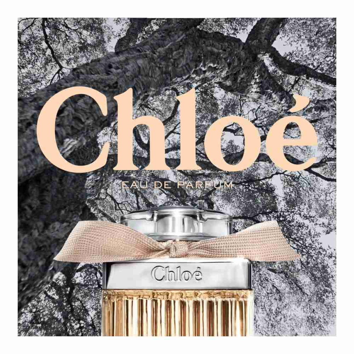 Chloe Signature Eau de Parfum Spray 75ml – Floral, Fresh & Citrus Fragrance for Women