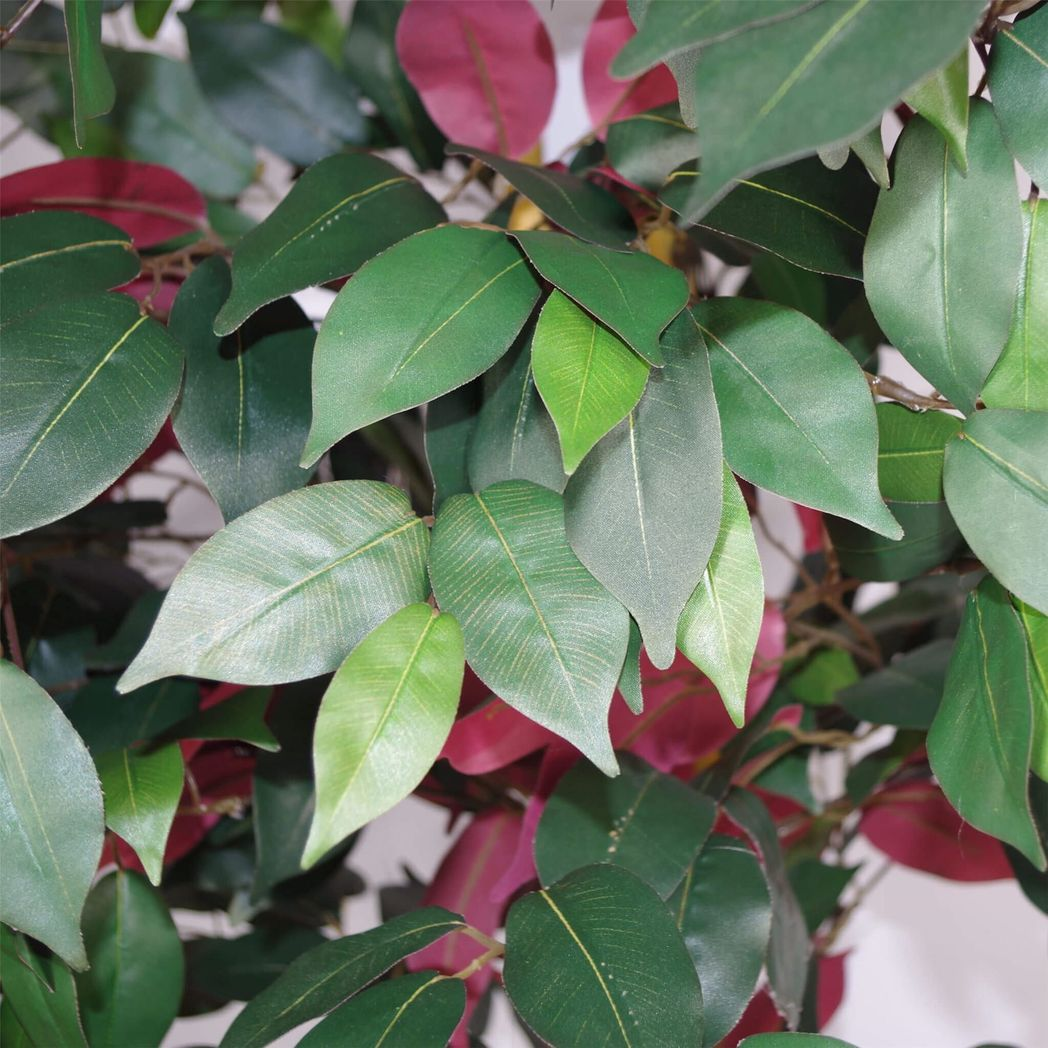 120cm (4ft) Artificial Capensia Tree Ficus Plant – Extra Large