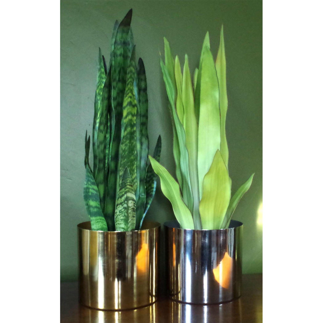 70cm Artificial Sansevieria Zeylanica Plant