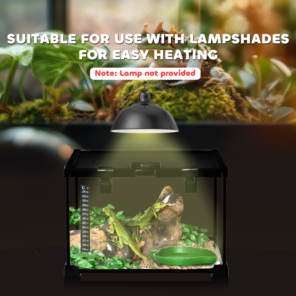 PawHut Glass Reptile Terrarium with Locks & Mesh Top – Habitat for Lizards, Frogs, Snakes, 30 x 30 x 20cm