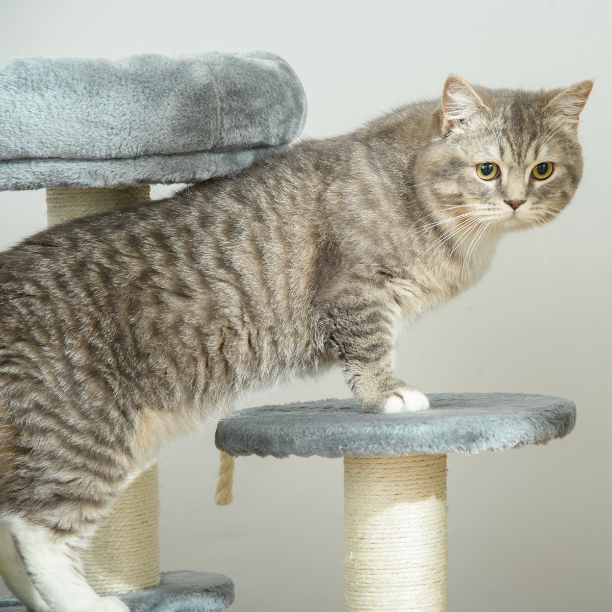 Pawhut Cat Tree with 2 Perches, Sisal Scratching Posts & Hanging Rope – Kitty Activity Play Centre