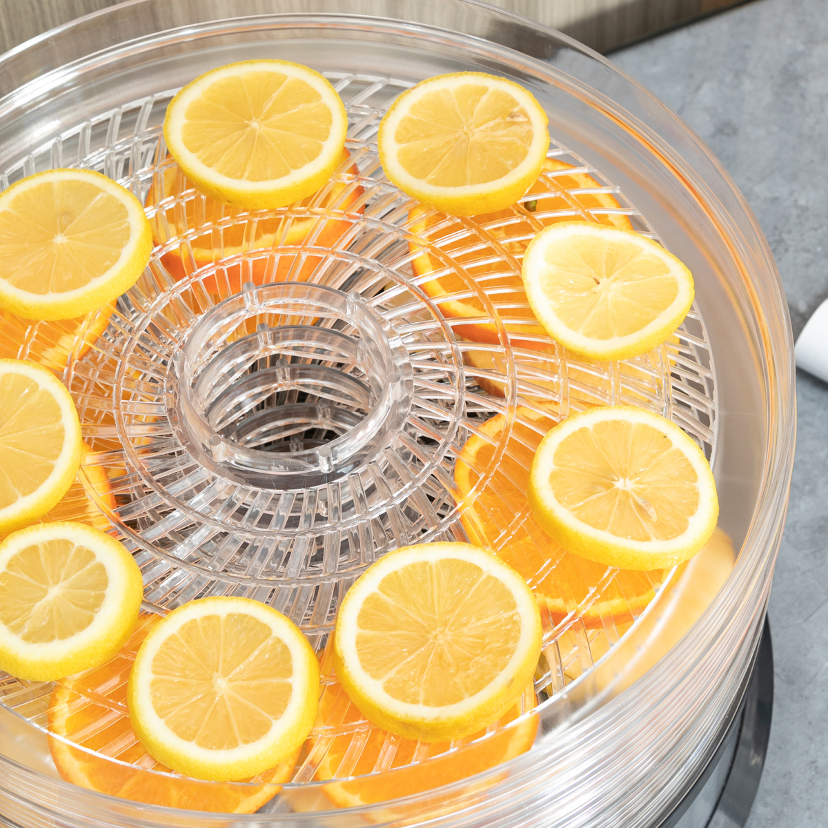 HOMCOM 5-Tier Food Dehydrator with 250W Motor, Adjustable Temperature and Stainless Steel Trays – Silver