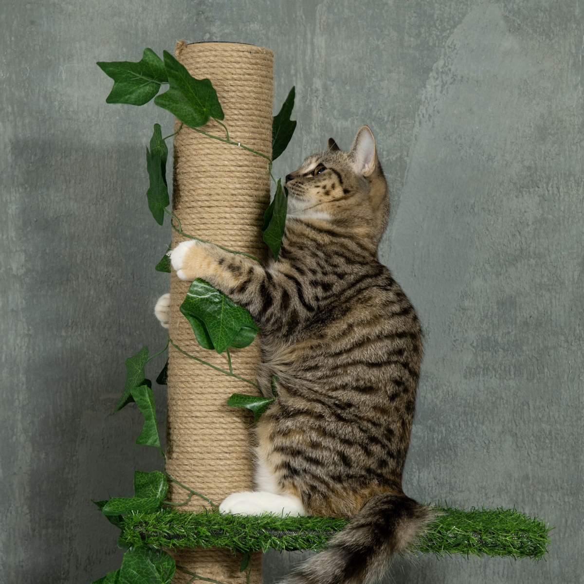 242cm Adjustable Floor-to-Ceiling Cat Tree with Jute Scratching Post and Anti-Slip Kit – Tall Cat Tower, Green