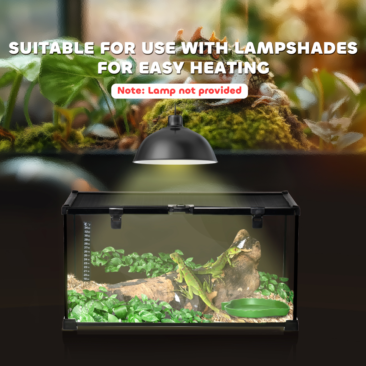 PawHut Glass Reptile Terrarium with Water Basin & Mesh Top – Habitat for Lizards, Frogs, Snakes, 50x30x25cm
