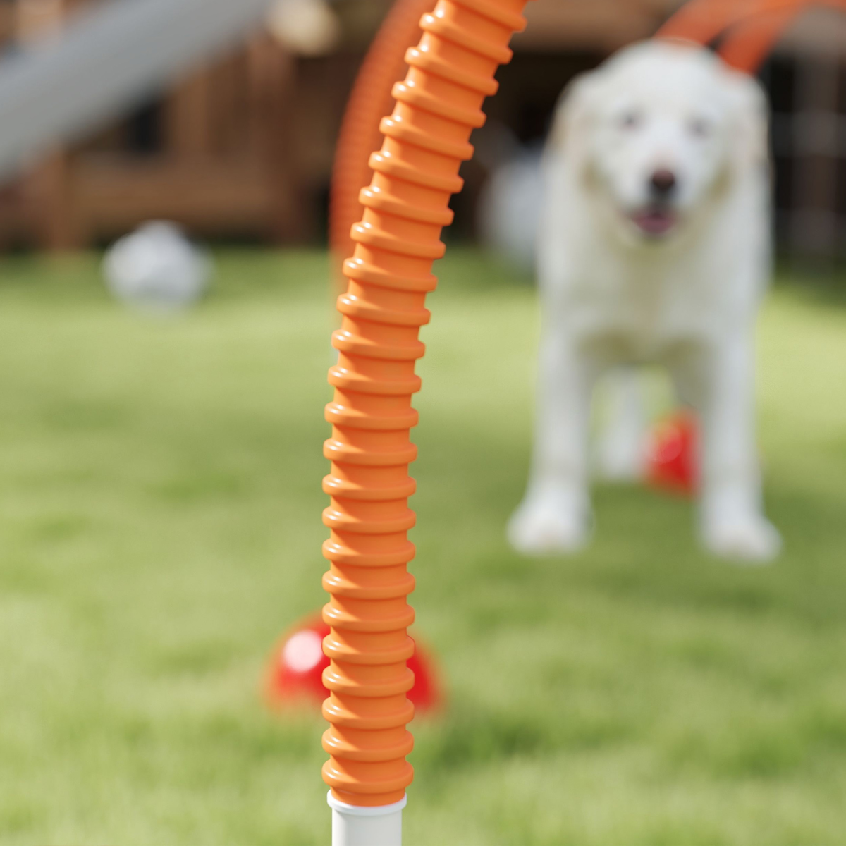 PawHut 4 Piece Dog Agility Doors with Adjustable Width, Fillable Bases & Carry Bag – Training Equipment, Orange