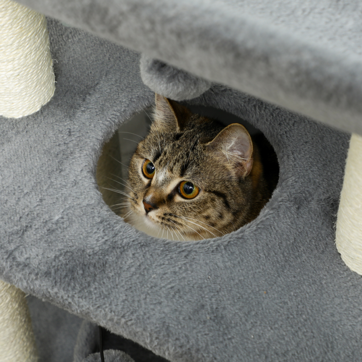 Cat Tree Tower for Indoor Cats with Scratching Posts, Padded Bed and Toy Ball – Light Grey