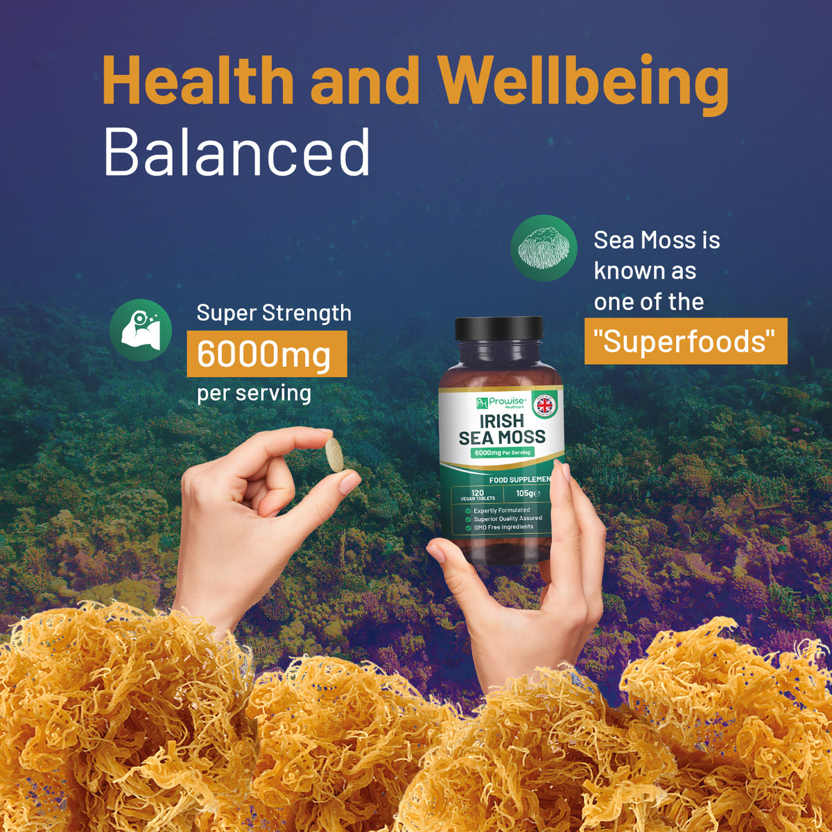 Prowise Irish Sea Moss Tablets 6000mg – High Strength Vegan Supplement, 120 Tablets, UK Made
