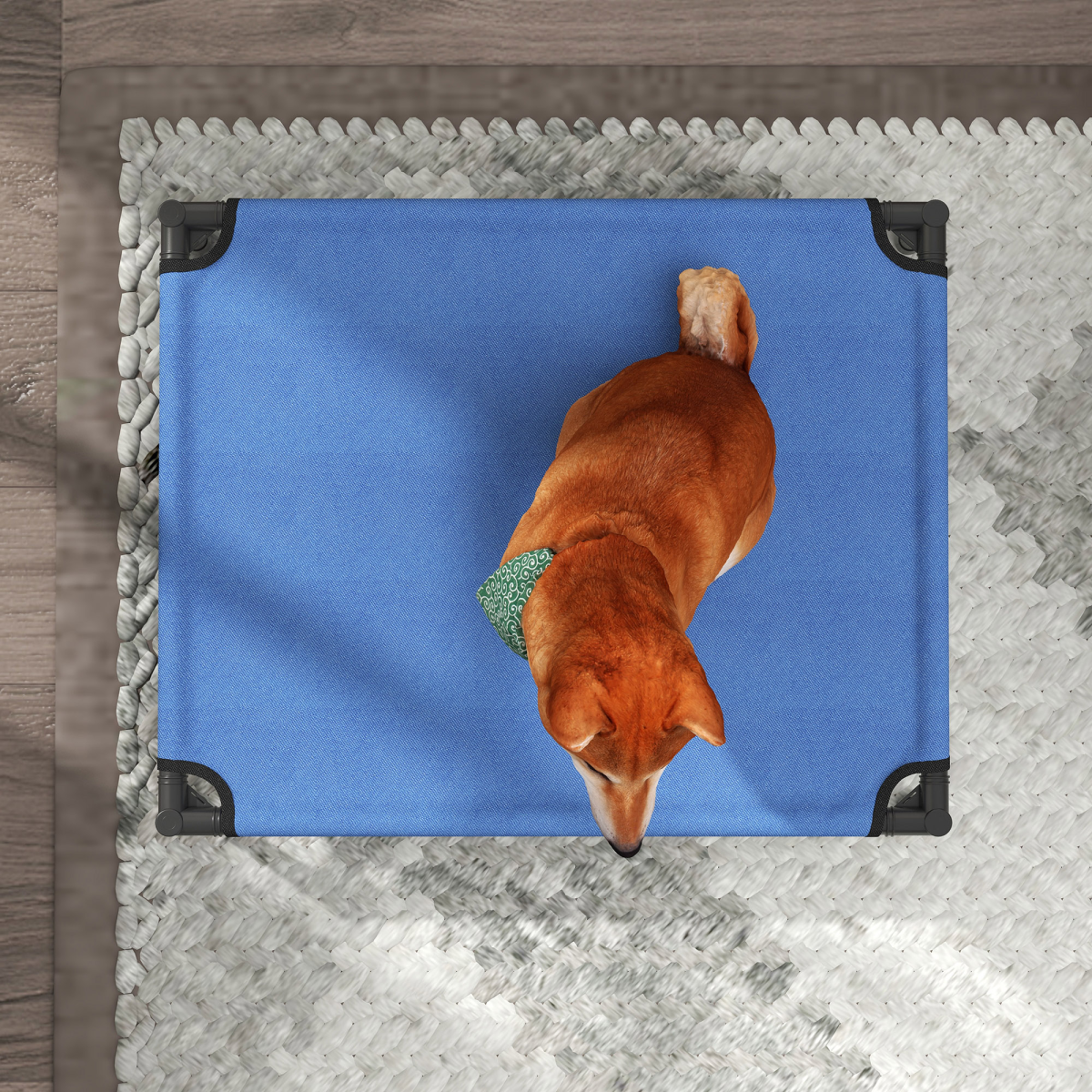 Pawhut Elevated Pet Bed with Powder Coated Metal Frame – Foldable Cooling Cot for Dogs and Cats
