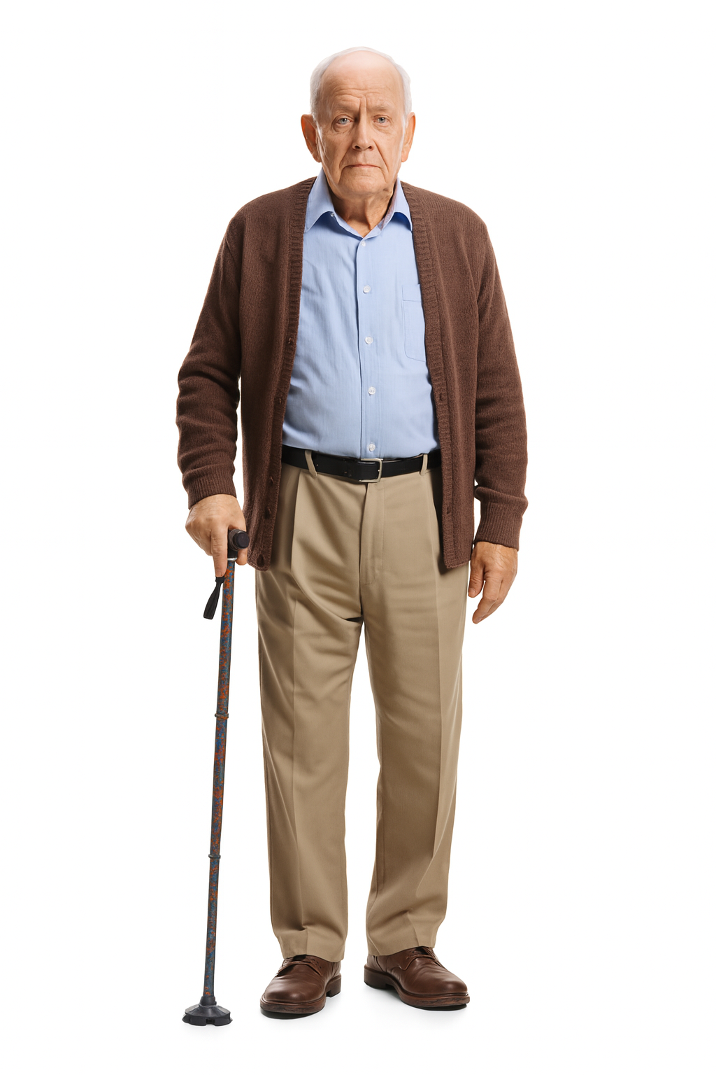 Paisley Walking Cane with Eight Height Settings – Four-Section Stick with Firm Grip and Anti-Slip Ferrule