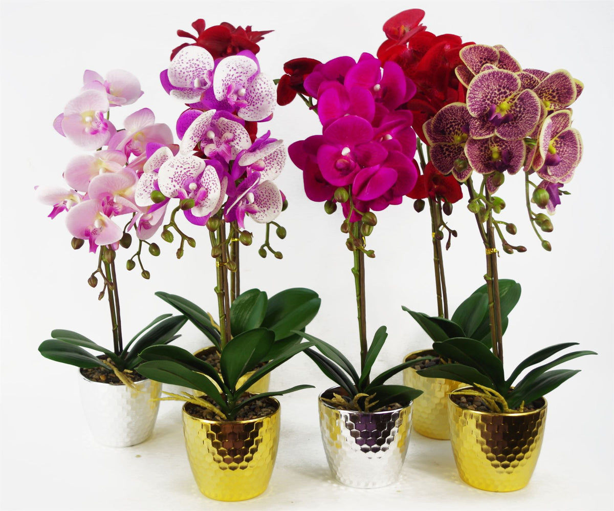 Leaf Design UK 50cm Phalaenopsis Artificial Orchid with Real Touch Flowers & Gold Pot – Red Leopard