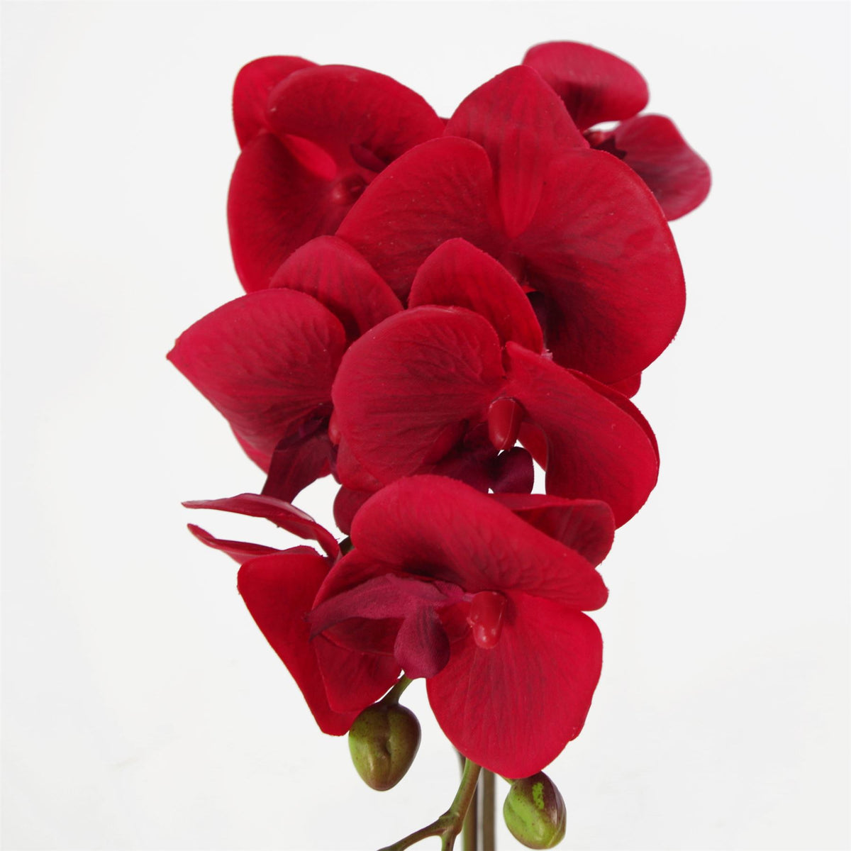 Leaf Design 46cm Artificial Orchid – Red Real Touch Flowers in Decorative Silver Pot