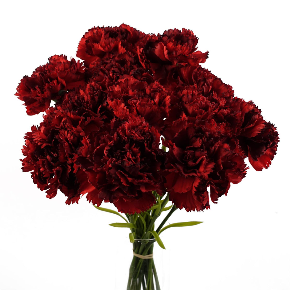Red Artificial Carnation Flowers – Pack of 12 Stems