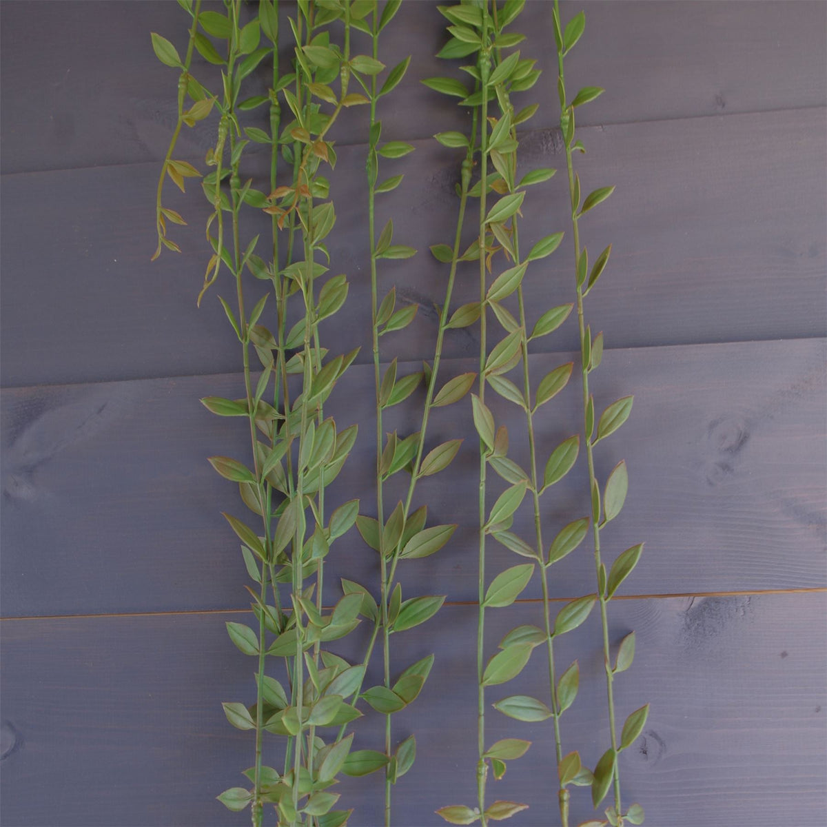 Leaf Artificial Hanging Extra Long String of Pearls Plant, 120cm – Trailing Realistic Foliage