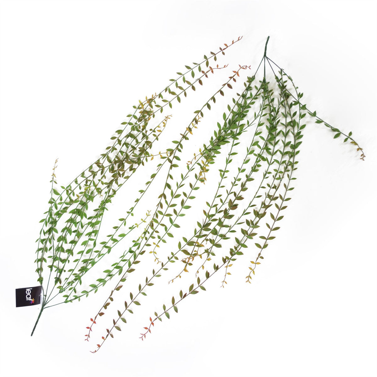 Leaf Artificial Hanging Extra Long String of Pearls Plant, 120cm – Trailing Realistic Foliage