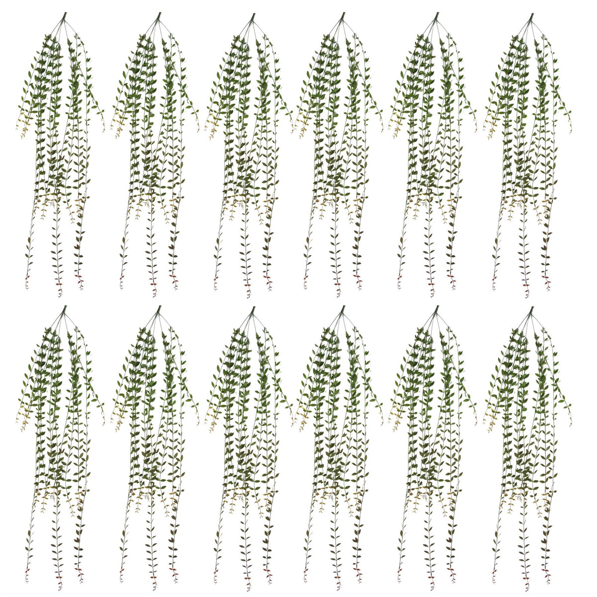 Leaf Pack of 12 Artificial Hanging String of Pearls Plants, 120cm – Extra Long Trailing Foliage for Displays