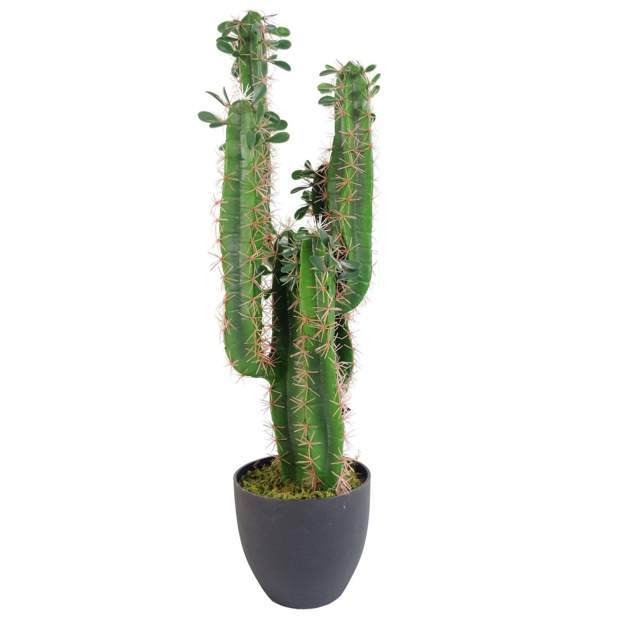 Leaf Premium Artificial Tropical Cactus with Weighted Pot, 75cm – Wired Stems, Fully Assembled