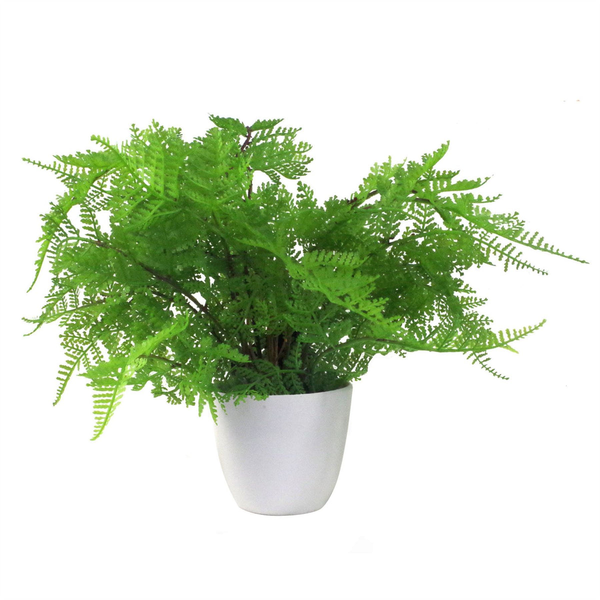 Leaf 30cm Artificial Potted Lady Fern (Athyrium Filix-Femina) – Realistic Botanical Fern Plant