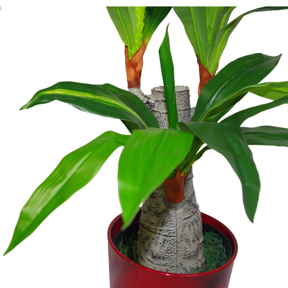 75cm Artificial Dracaena Plant – Wide Trunk Triple Branch Large