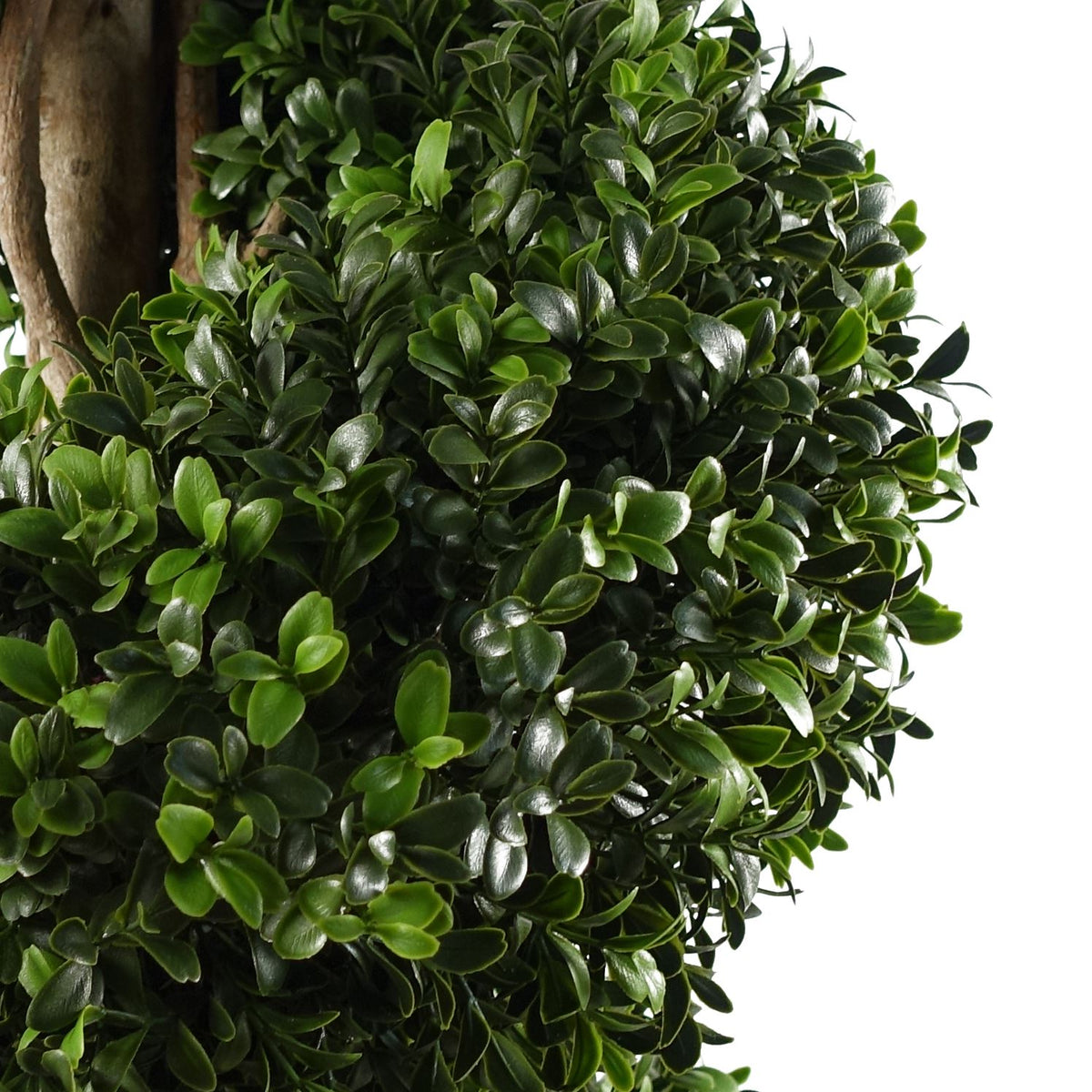 Pair of 120cm Artificial Spiral Buxus Topiary Trees – UV Resistant Outdoor Plants for Entrances & Patios