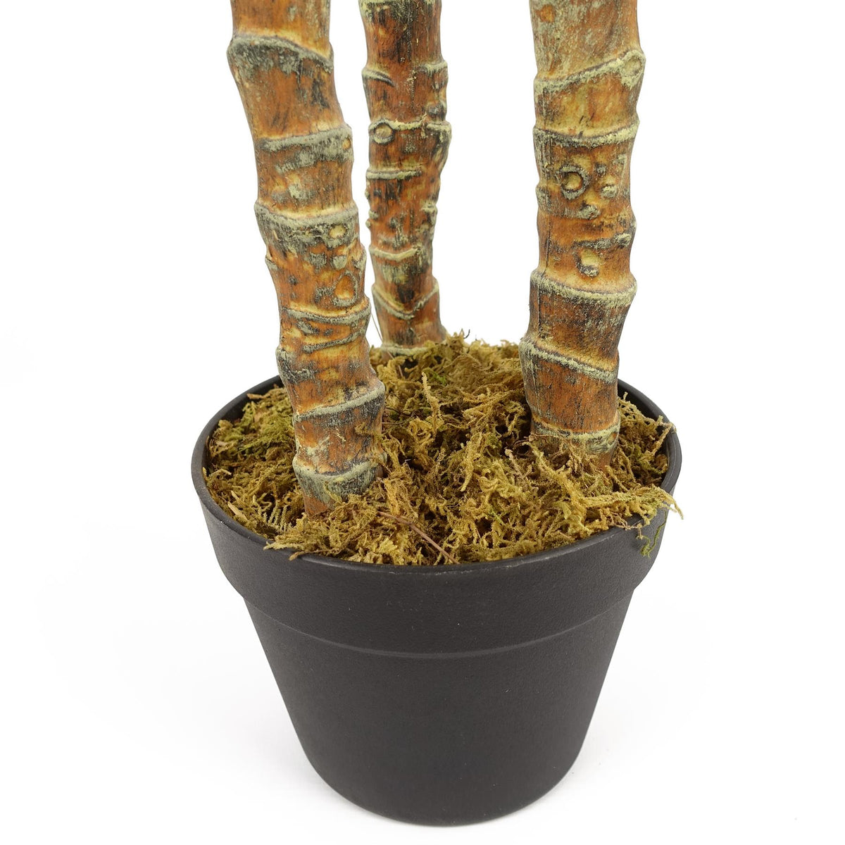 170cm Artificial XL Triple Yucca Tree Plant Spiky Tree Plant Realistic