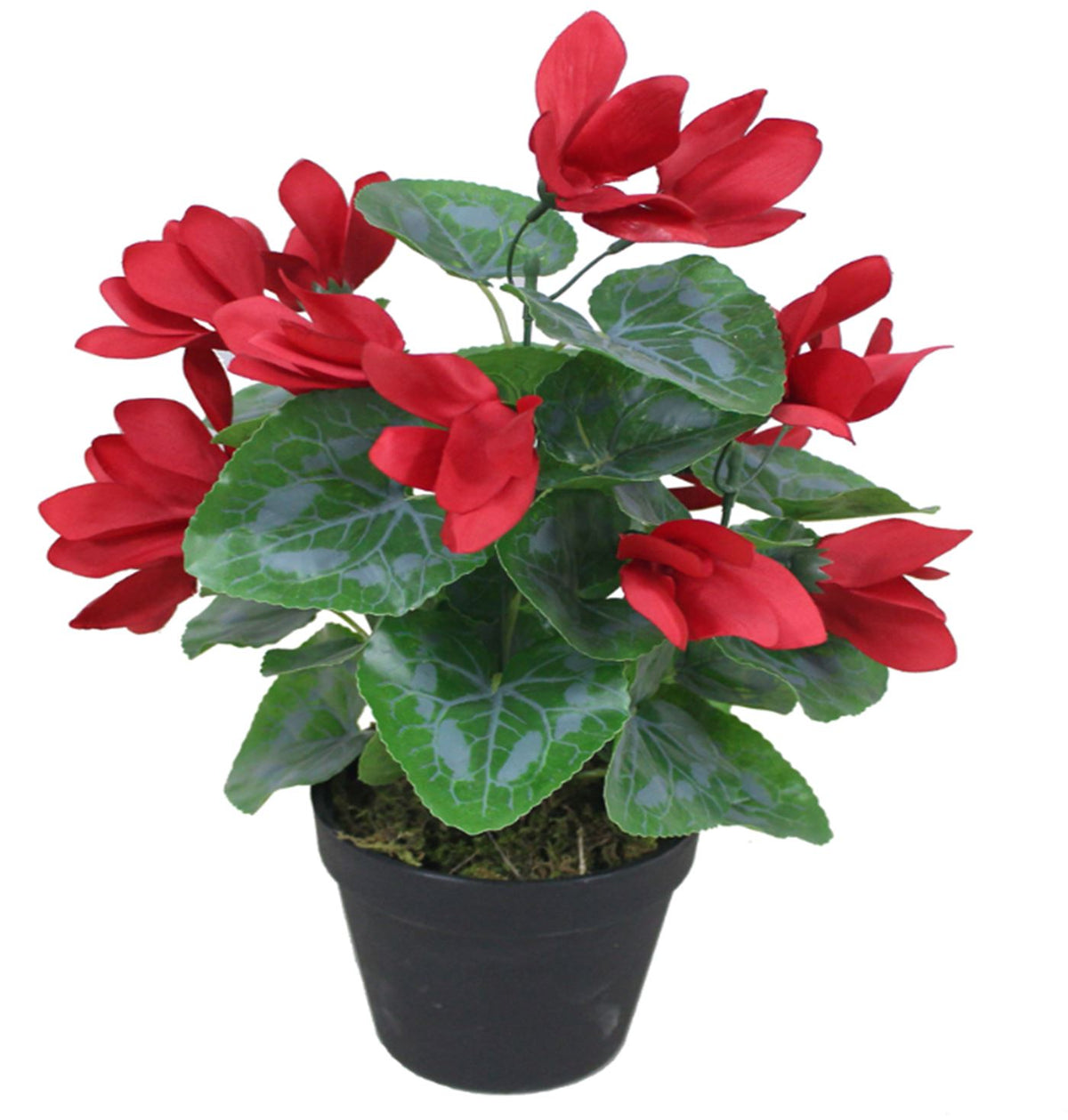 38cm Artificial Cyclamen Plant – Red