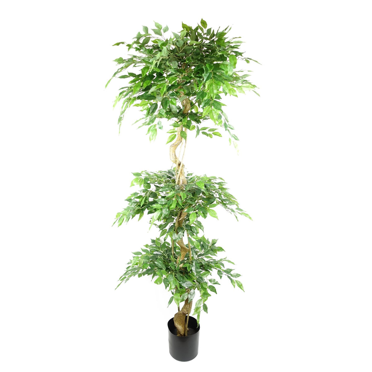 Leaf Artificial Ficus Tree with Twisted Trunk and Triple Ball Topiary, 180cm – Realistic Plant, 1984 Leaves