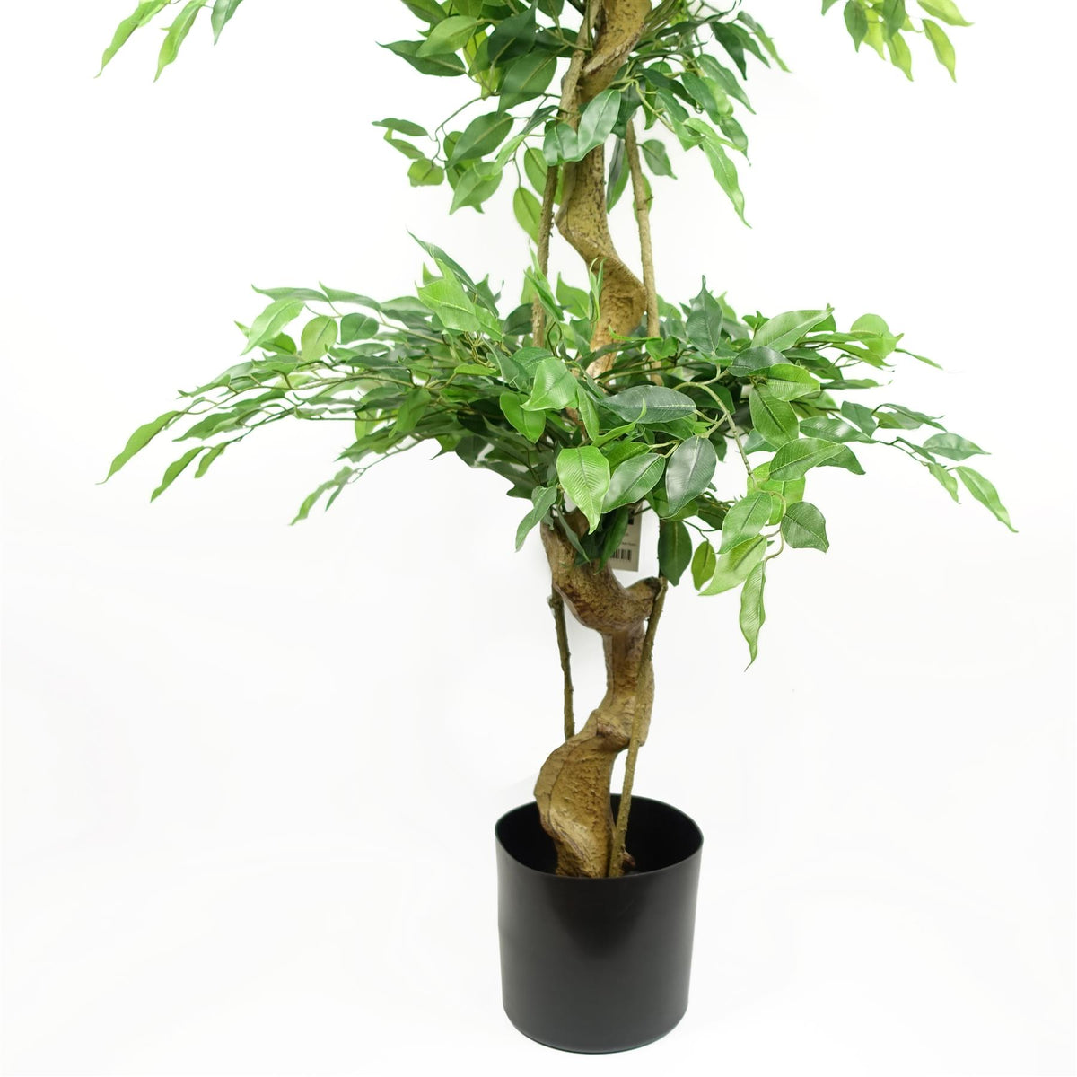 Leaf Artificial Ficus Tree with Twisted Trunk and Triple Ball Topiary, 180cm – Realistic Plant, 1984 Leaves