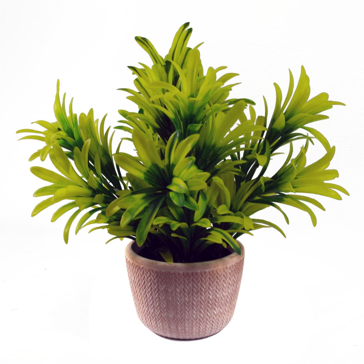 22cm Artificial Honey Plant in Terracotta Pot – Light Green