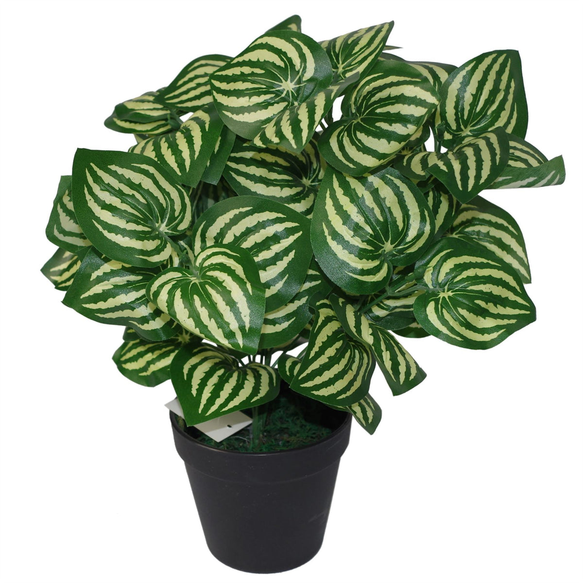 Artificial Watermelon Leaf Plant in Black Pot – Ready Potted, Approx. 45cm Tall