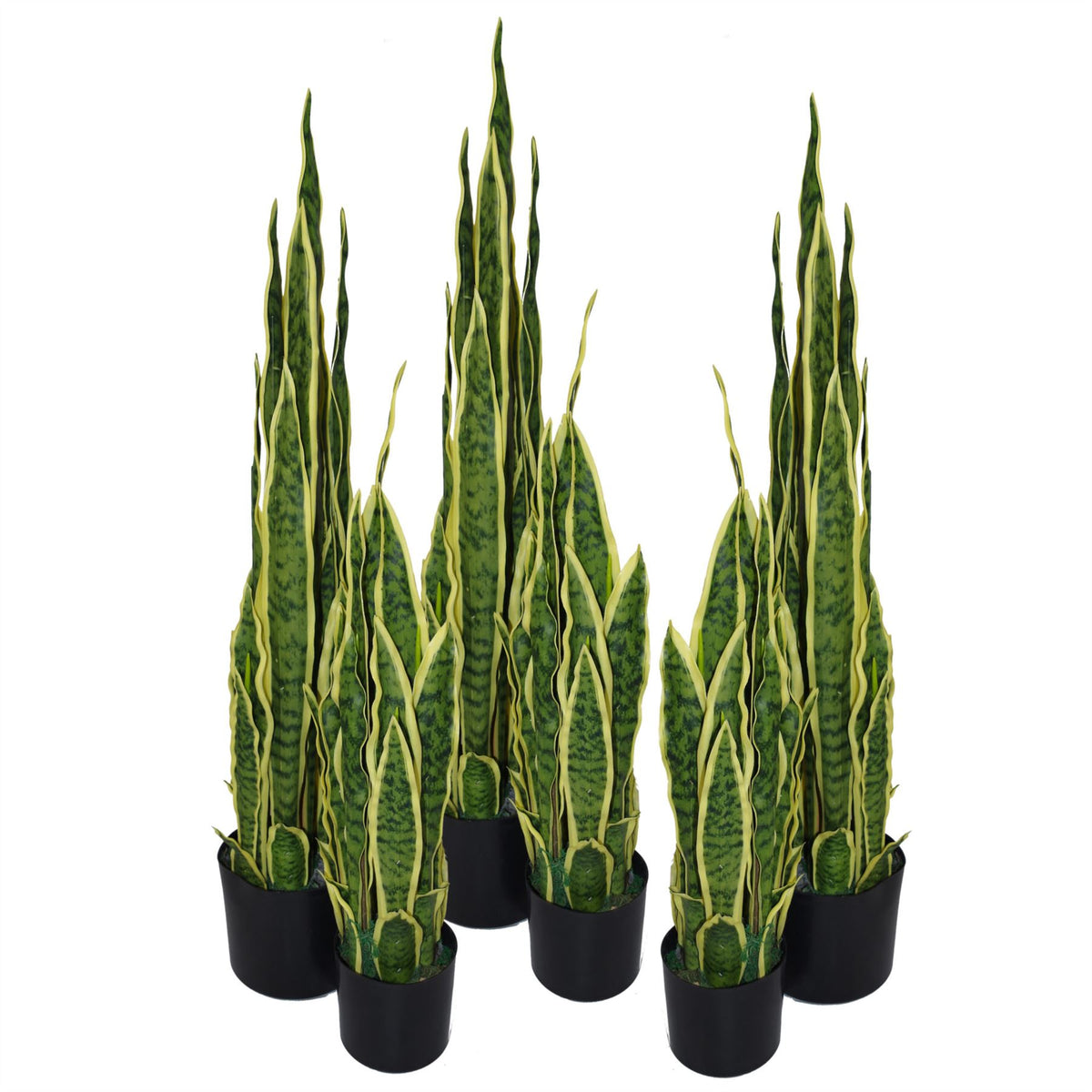 90cm (3ft) Artificial Sansevieria Yellow Green Indoor Plant – Large