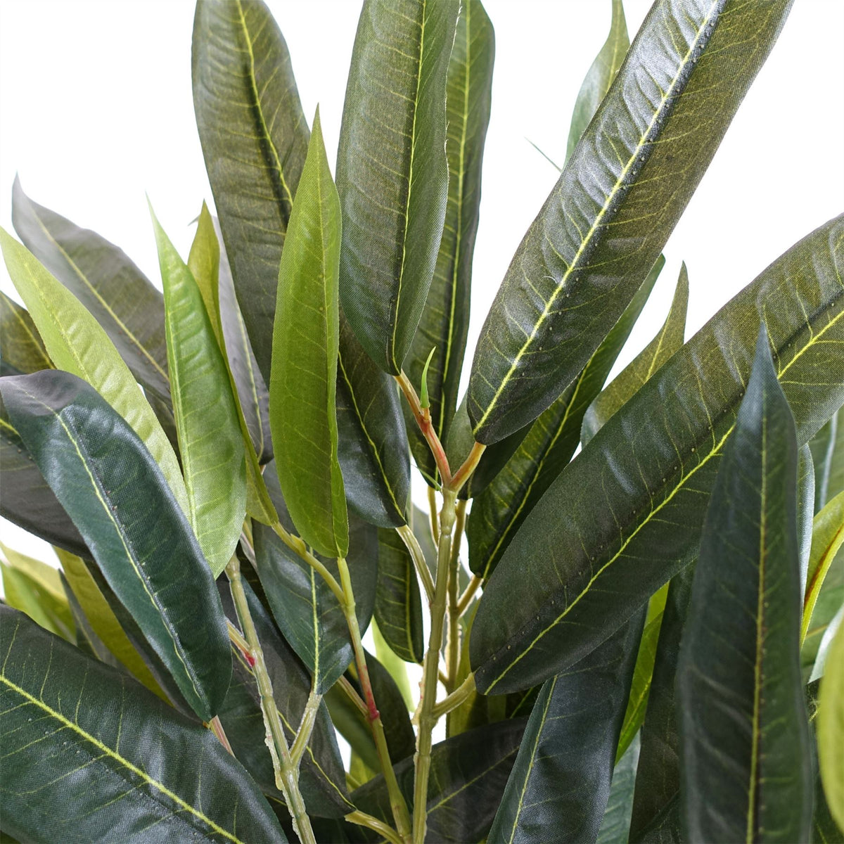 Leaf Design Artificial Longifolia Ficus Tree, 100cm – Silk Leaves, Natural Trunk & Hanging Vines, Potted