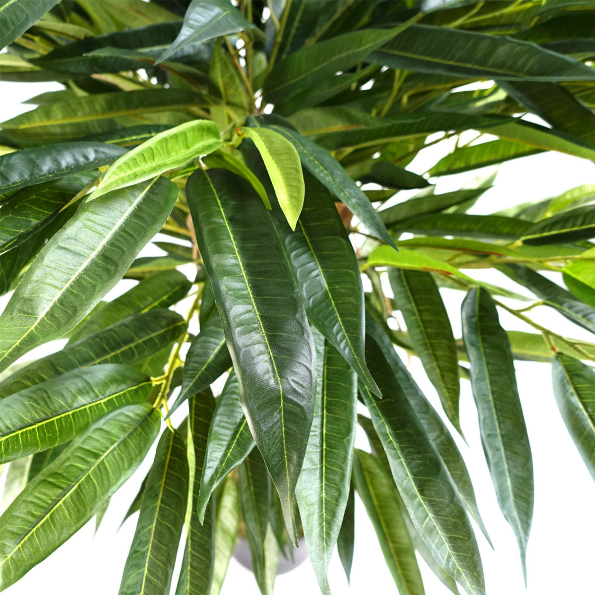 Leaf Design Artificial Longifolia Ficus Tree, 100cm – Silk Leaves, Natural Trunk & Hanging Vines, Potted