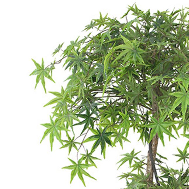 Leaf Design Artificial Japanese Maple Tree, 150cm – Evergreen Acer with Wired Stems, Weighted Pot