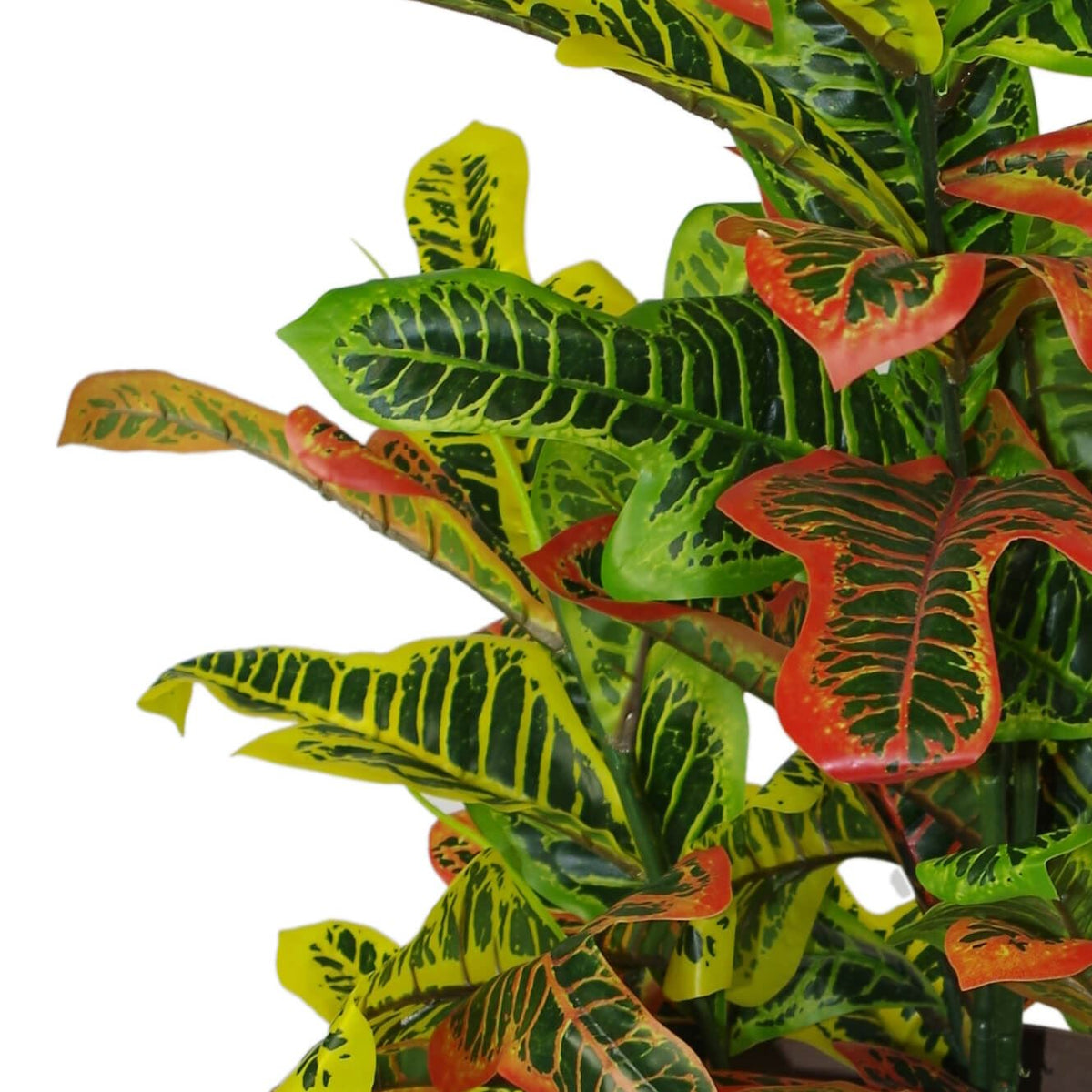 90cm Artificial Codiaeum Multicoloured House Plant – Large