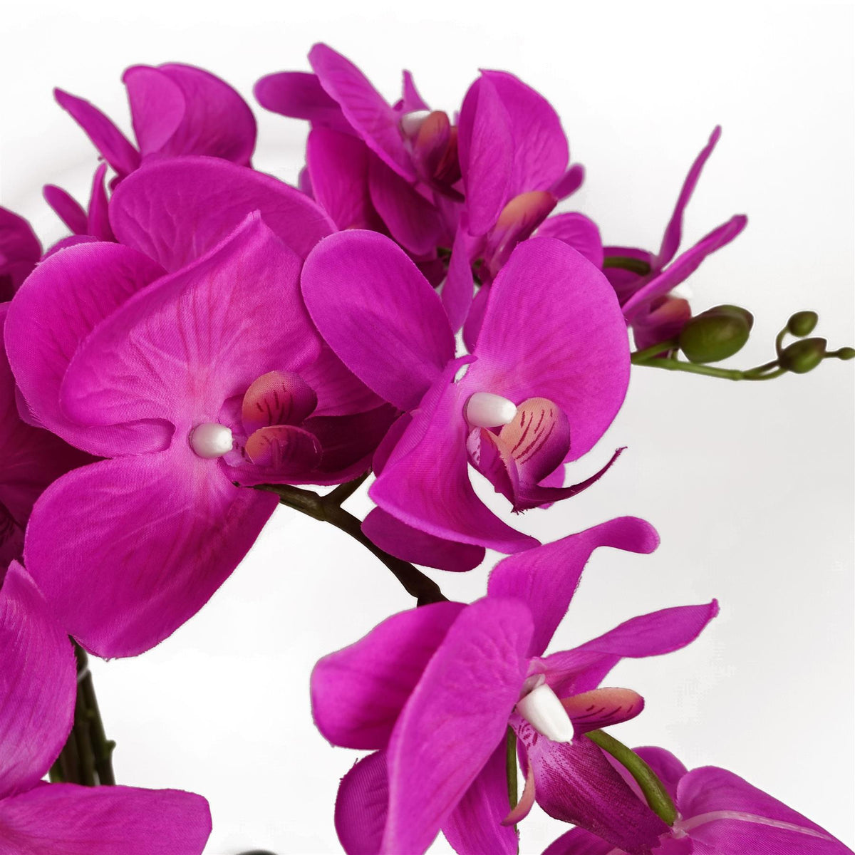 Leaf Design Artificial Deluxe XL Orchid, 85cm – Large Dark Pink Flowers, Table Decoration, Potted