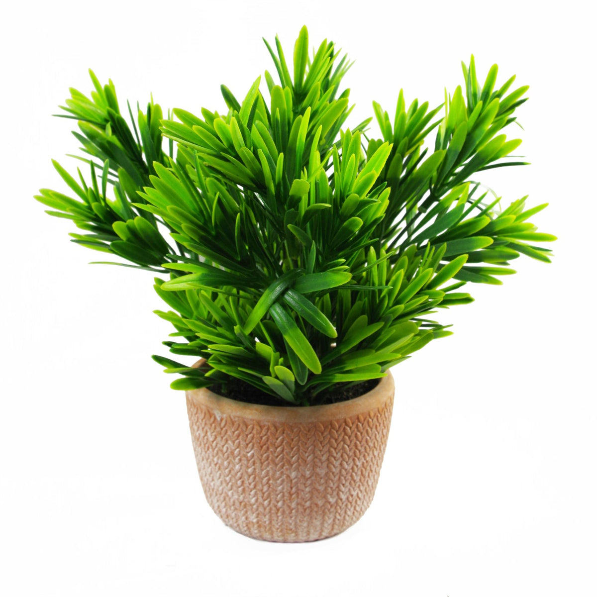 Leaf Artificial Honey Plant in Terracotta Pot – 22cm Dark Green Faux Houseplant