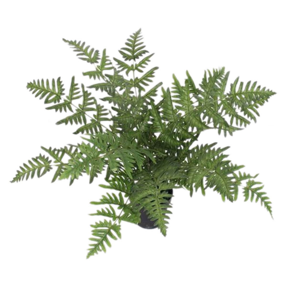 50cm Luxury Artificial Evergreen Fern Plant