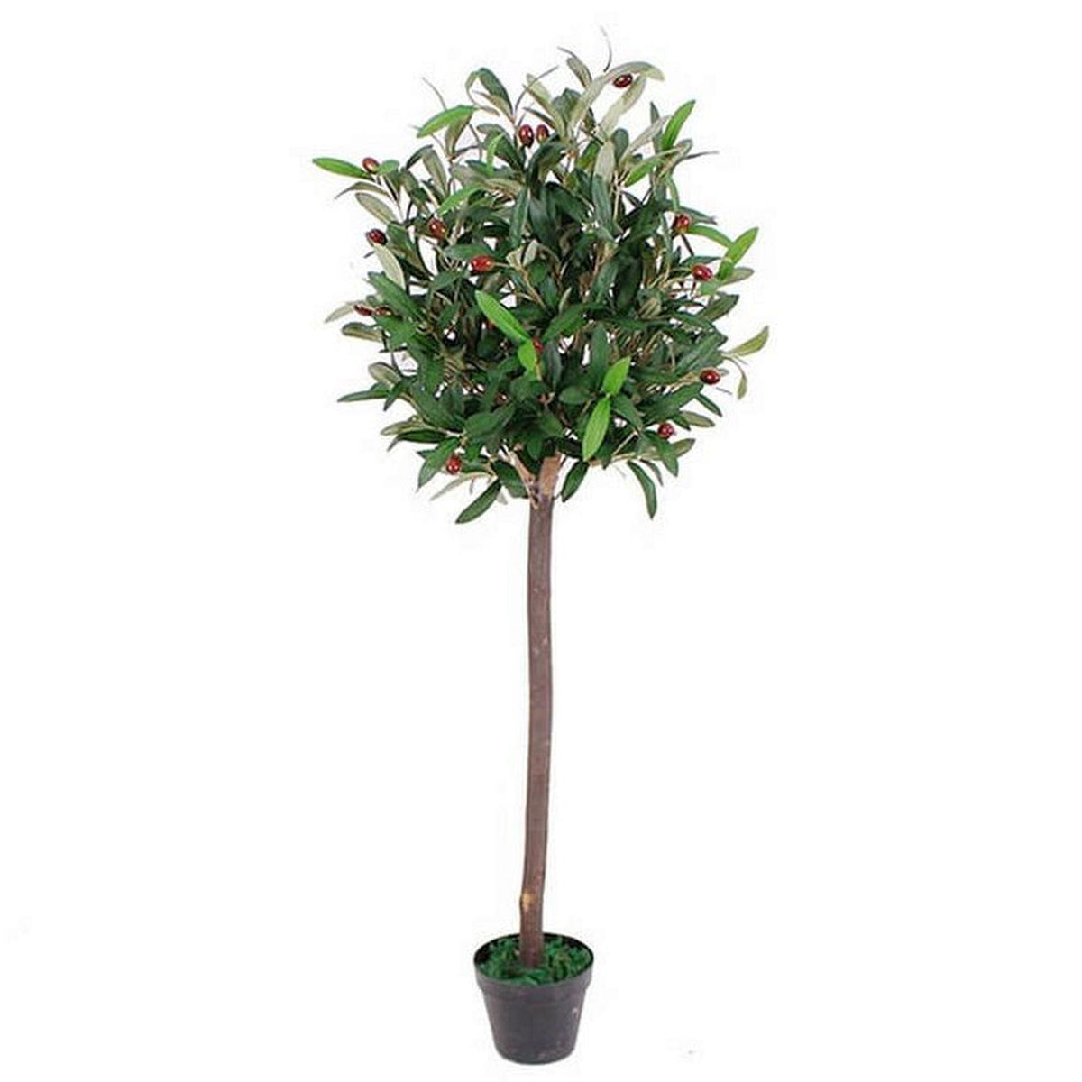 Leaf Design UK Realistic Artificial Olive Tree, 120cm – Faux Olives and Accurate Foliage, Black Pot