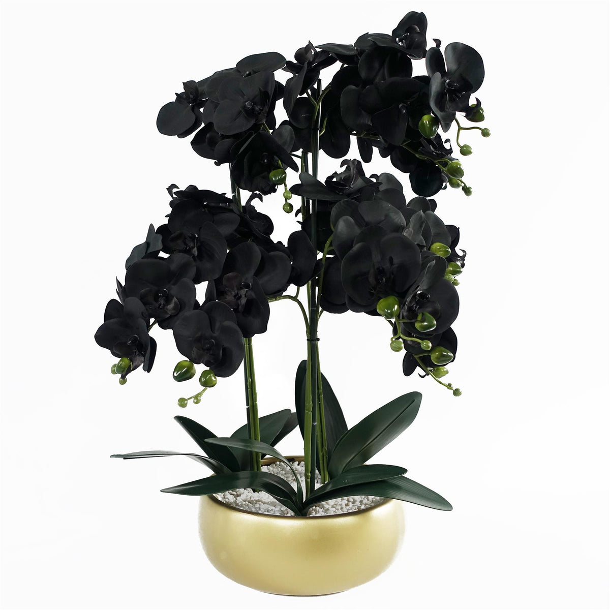 60cm Artificial Black Orchid – Gold Ceramic Planter
