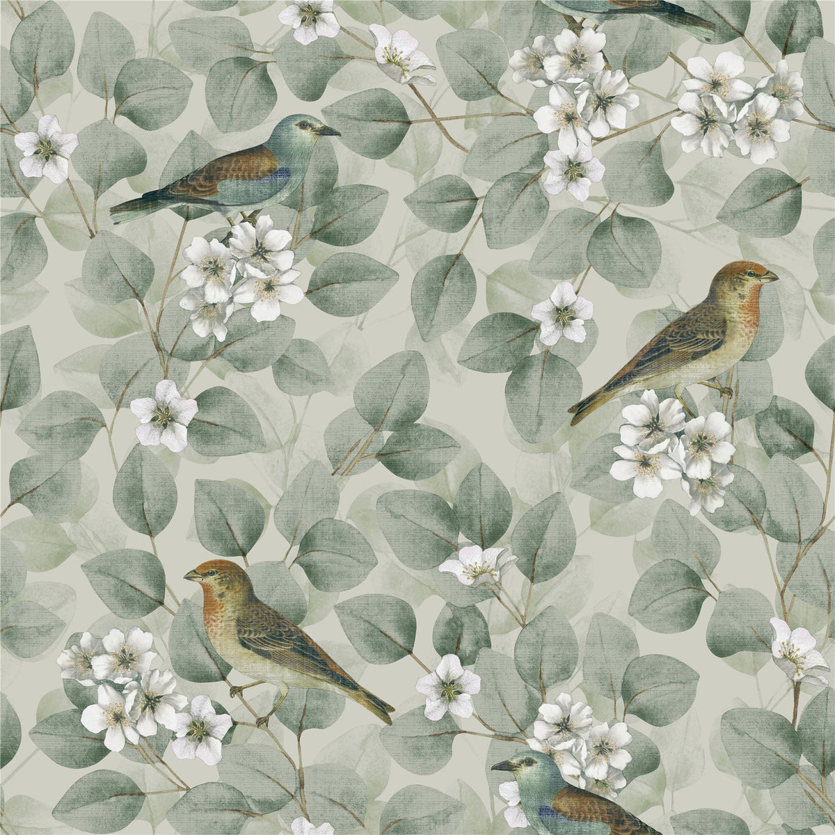 Arthouse Birds & Blossoms Vintage-Style Wallpaper – Paste the Paper Floral Feature Wall Covering, Green