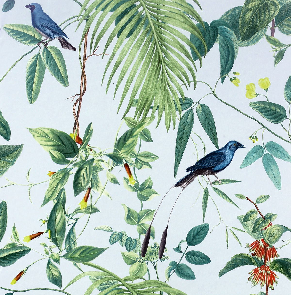 Arthouse Exotic Garden Wallpaper with Birds, Flowers and Foliage – Vintage Botanical Print, Blue