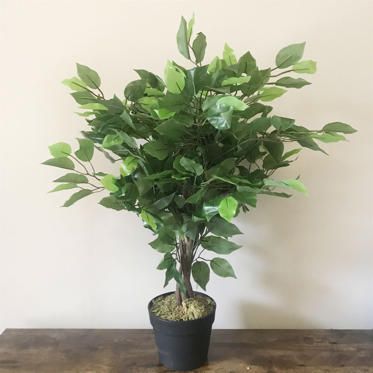 60cm Artificial Ficus Tree / Plant – Large Bushy Shape