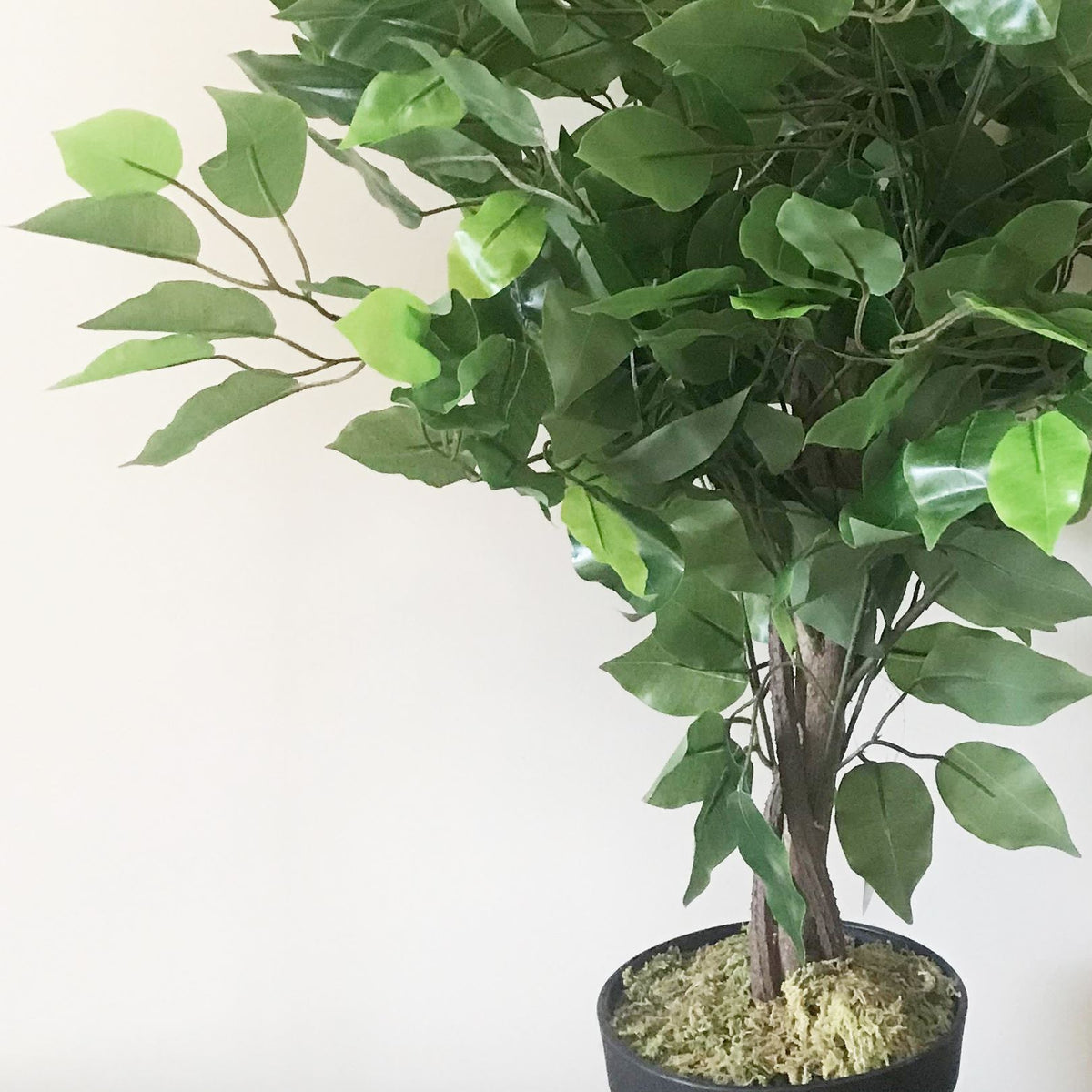 60cm Artificial Ficus Tree / Plant – Large Bushy Shape