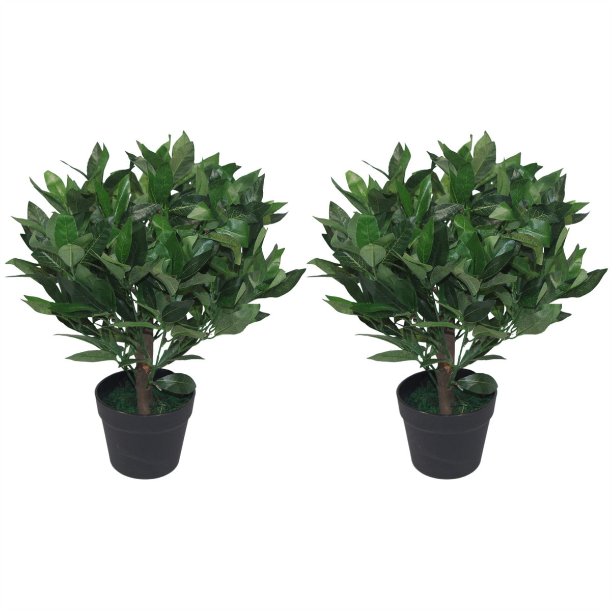 Pair of 50cm Dwarf Artificial Bay Trees – Realistic Laurel Topiary Bushes, Potted, Low Maintenance