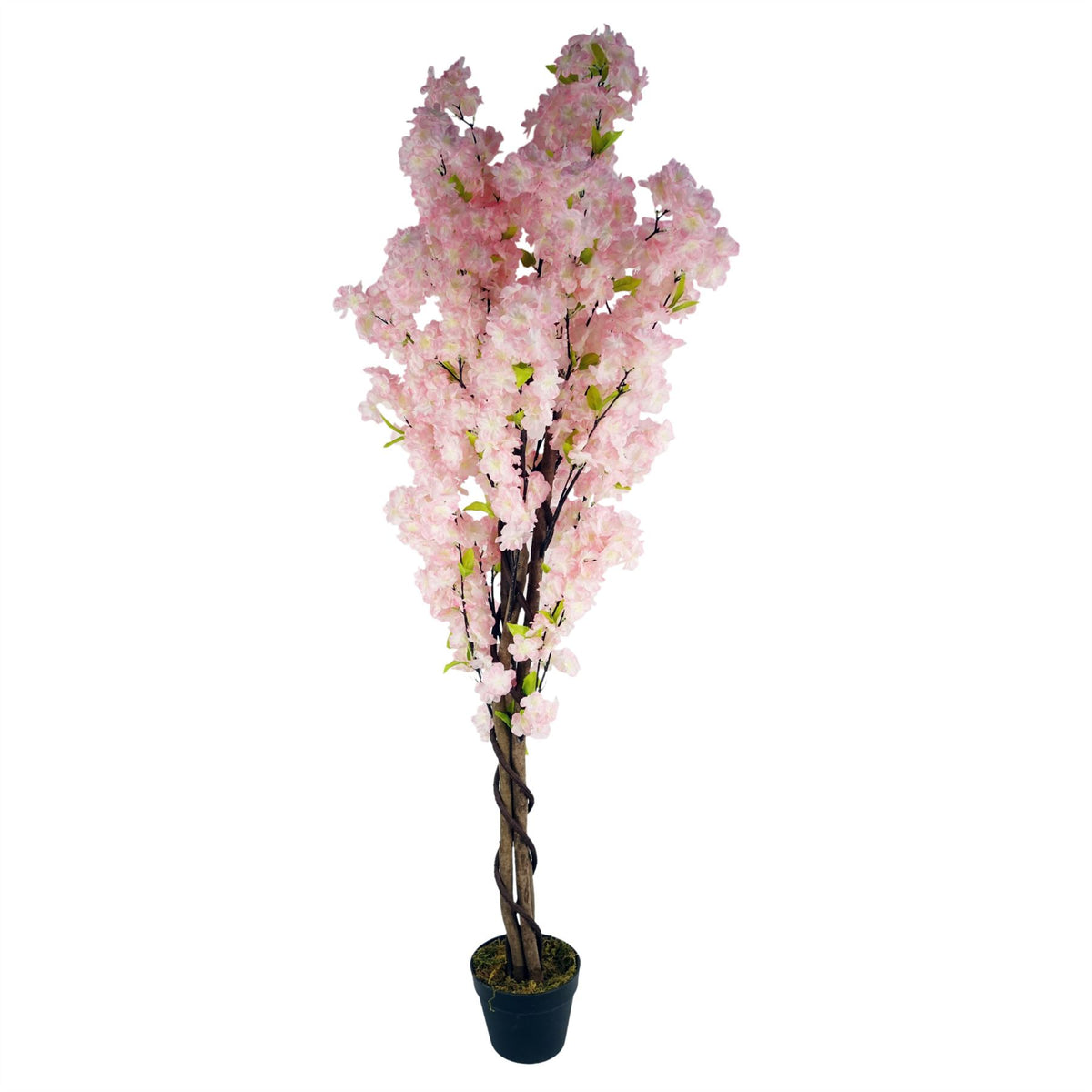 Botanik UK Artificial Pink Cherry Blossom Tree, 150cm – Fully Assembled Faux Blossom Tree in Pot